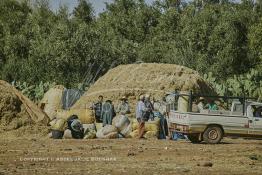 Image du Maroc Professionnelle de  Des berbères chargent des sacs de foins destinée à la nourriture du bétail au marché de Tnine Ourika, le village berbère située dans la vallée de l'Ourika sur la route de l'Oukaimden dans le haut Atlas, Mardi 27 Février 2007. (Photo / Abdeljalil Bounhar) 